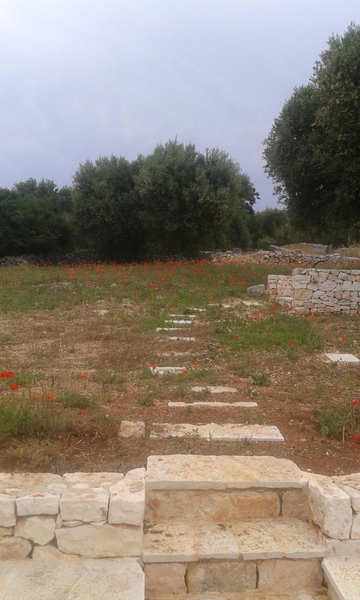 チステルニーノ Trullo Alto Salentoヴィラ エクステリア 写真