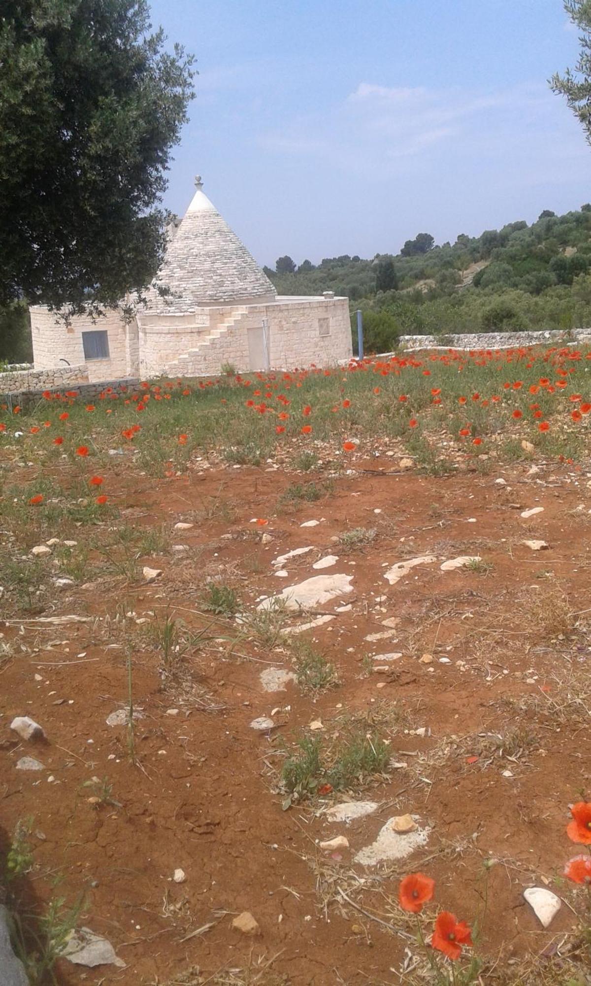 チステルニーノ Trullo Alto Salentoヴィラ エクステリア 写真