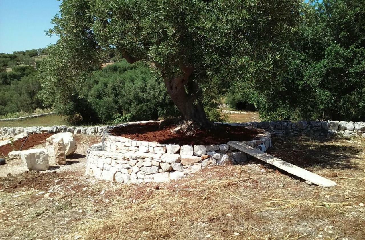 チステルニーノ Trullo Alto Salentoヴィラ エクステリア 写真